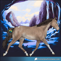 Horse Color:Classic Champagne Tobiano