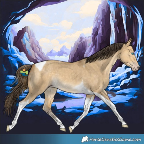 Horse Color:Sable Cream Champagne Dun Tobiano 