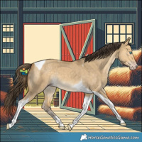 Horse Color:Sable Cream Champagne Dun Tobiano 