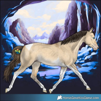 Horse Color:Sable Cream Champagne Dun Tobiano