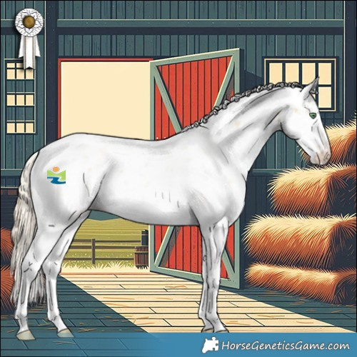 Horse Color:Palomino Sabino 