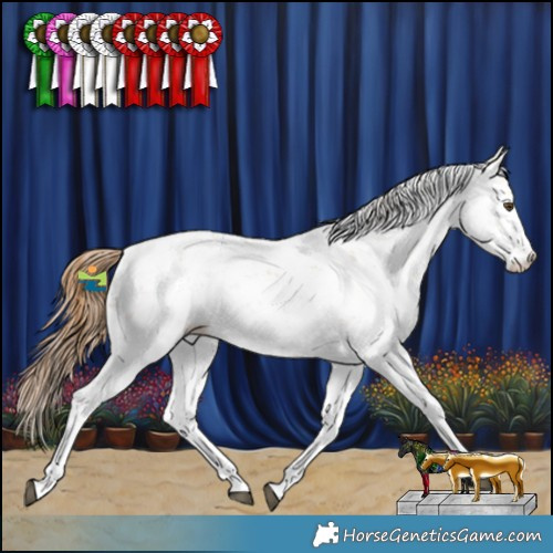Horse Color:Red Dun Sabino 