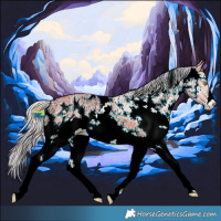 Horse Color:Silver Bay Dun Sabino 