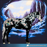 Horse Color:Silver Bay Dun Sabino 