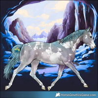 Horse Color:Watercolor White Spotted Bay Dun Sabino 