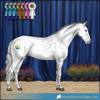 Horse Color:Gray White Spotted Liver Chestnut Appaloosa 