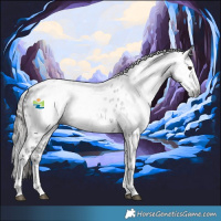 Horse Color:Gray White Spotted Liver Chestnut Near Leopard