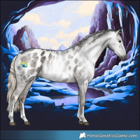 Horse Color:Gray White Spotted Chocolate Palomino Appaloosa 