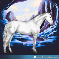 Horse Color:Gray White Spotted Chocolate Palomino Appaloosa 