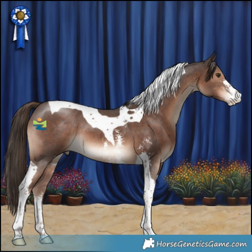 Horse Color:Liver Chestnut Sabino Tobiano 
