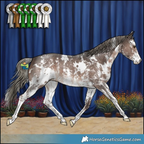Horse Color:White Spotted Liver Chestnut Mushroom Sabino 