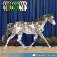 Horse Color:White Spotted Liver Chestnut Mushroom Sabino 