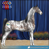 Horse Color:White Spotted Brown Mushroom Sabino 