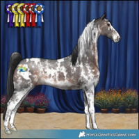 Horse Color:White Spotted Brown Mushroom Sabino 
