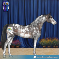 Horse Color:White Spotted Brown Mushroom Sabino 