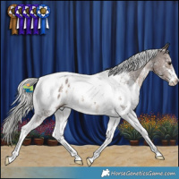 Horse Color:Silver Brown Sabino Tobiano Appaloosa 