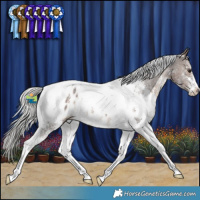 Horse Color:Silver Brown Sabino Tobiano Appaloosa 