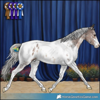 Horse Color:Silver Brown Sabino Tobiano Appaloosa 