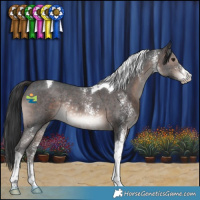 Horse Color:Brown Mushroom Sabino Tobiano Rabicano 
