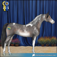 Horse Color:Brown Mushroom Sabino Tobiano Rabicano