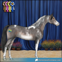 Horse Color:Brown Mushroom Sabino Tobiano Rabicano 