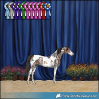 Horse Color:Liver Chestnut Sabino Tobiano 