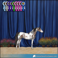 Horse Color:Liver Chestnut Sabino Tobiano
