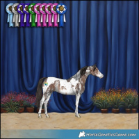 Horse Color:Liver Chestnut Sabino Tobiano 