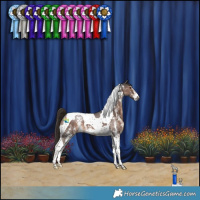 Horse Color:Liver Chestnut Sabino Tobiano 
