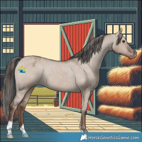 Horse Color:Liver Red Dun Appaloosa Rabicano 