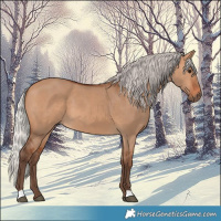 Horse Color:Silver Bay Dun 