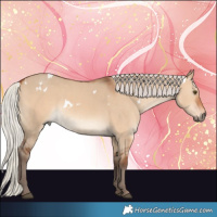 Horse Color:White Spotted Silver Bay Dun Rabicano