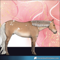 Horse Color:White Spotted Silver Bay Dun Rabicano 