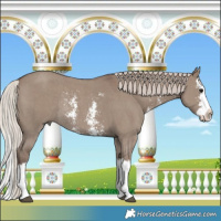 Horse Color:Silver Grullo Sabino Splash Rabicano 