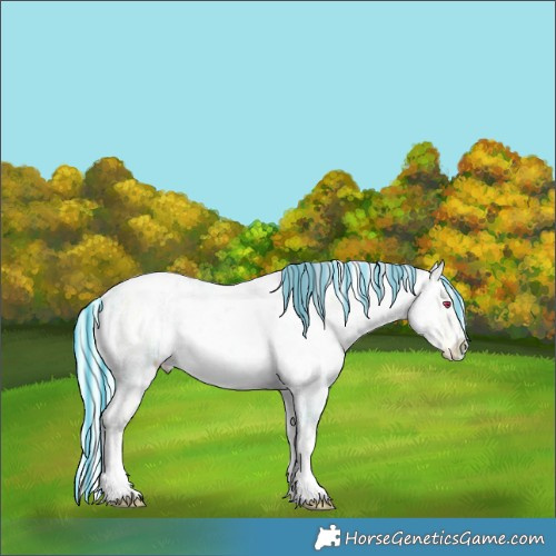 Horse Color:Painted White Spotted Chocolate Silver Brown Chinchilla Ice Onyx 