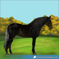 Horse Color:Void Silver Buckskin Roan Varnish 