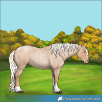 Horse Color:Silver Blue Roan Pearl Tobiano Frame 