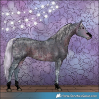 Horse Color:Void Watercolor Silver Brown Ice Roan Rabicano 