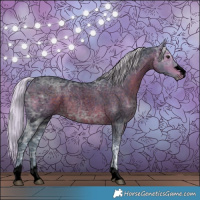 Horse Color:Void Watercolor Silver Brown Ice Roan Rabicano