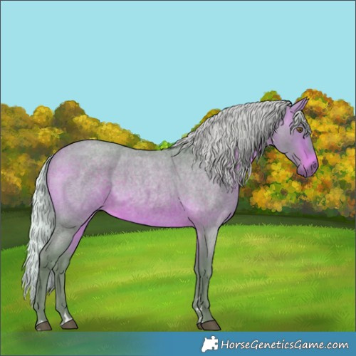 Horse Color:Watercolor Silver Brown Roan Rabicano 
