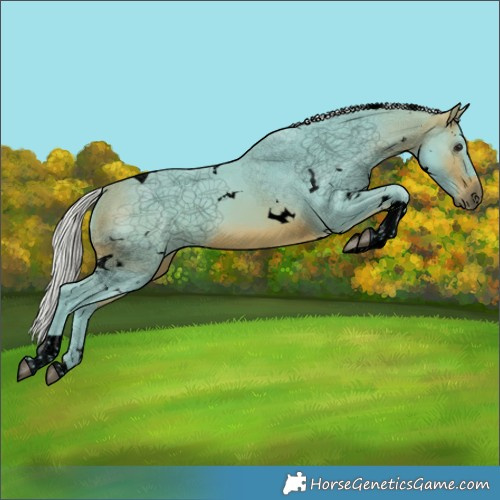 Horse Color:Void Watercolor White Spotted Silver Brown Tobiano 