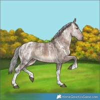 Horse Color:Silver Brown Ice Dun Tobiano 