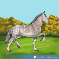 Horse Color:Silver Brown Ice Dun Tobiano 