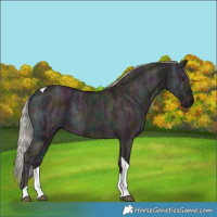 Horse Color:Midnight Silver Brown Ice Dun Tobiano 