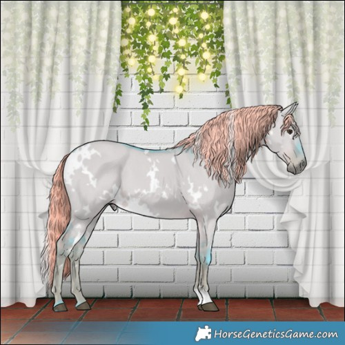 Horse Color:Watercolor White Spotted Liver Red Dun 