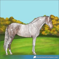 Horse Color:Silver Brown Ice Tobiano Rabicano 