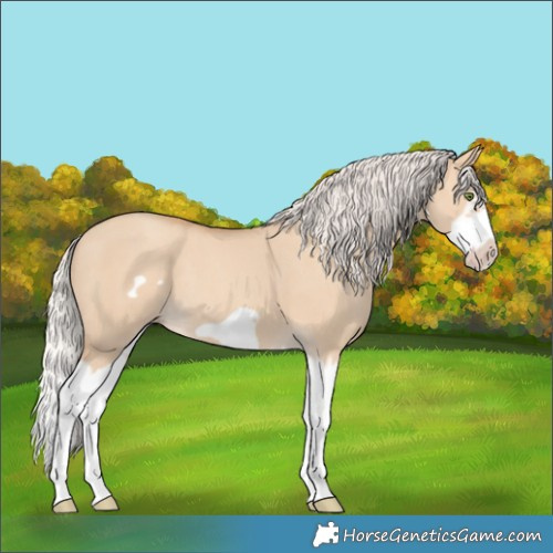 Horse Color:Silver Classic Champagne Dun Splash Frame