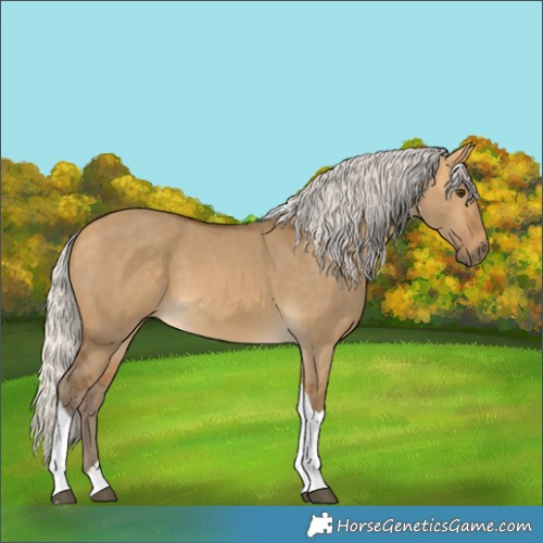 Horse Color:Silver Buckskin Dun Tobiano 