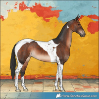 Horse Color:Brown Tobiano 