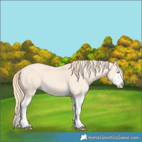 Horse Color:Perlino Splash  and Perlino Splash 